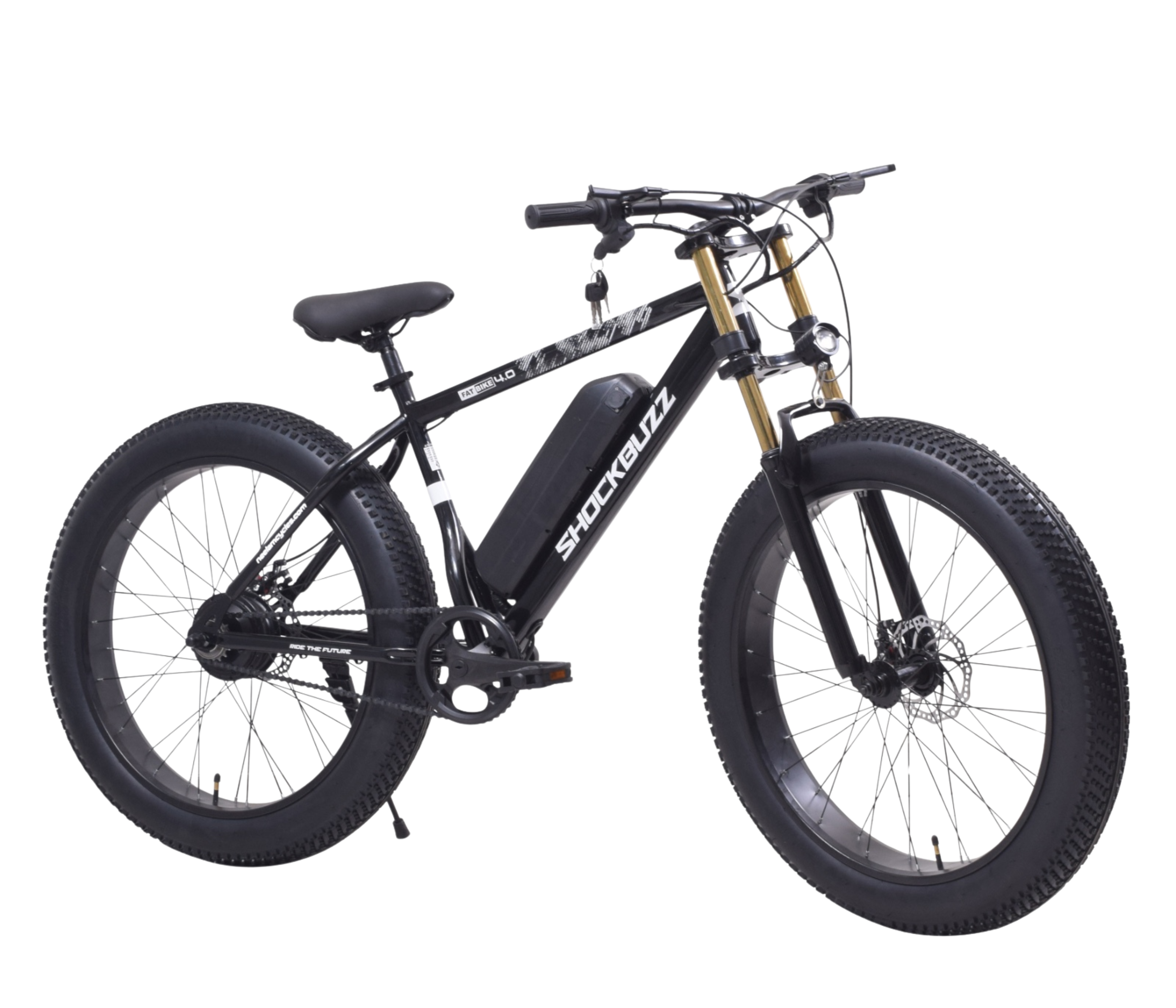 Neelam Fat Bike 4.0 Unisex Electric Bicycle 26T - Image 6