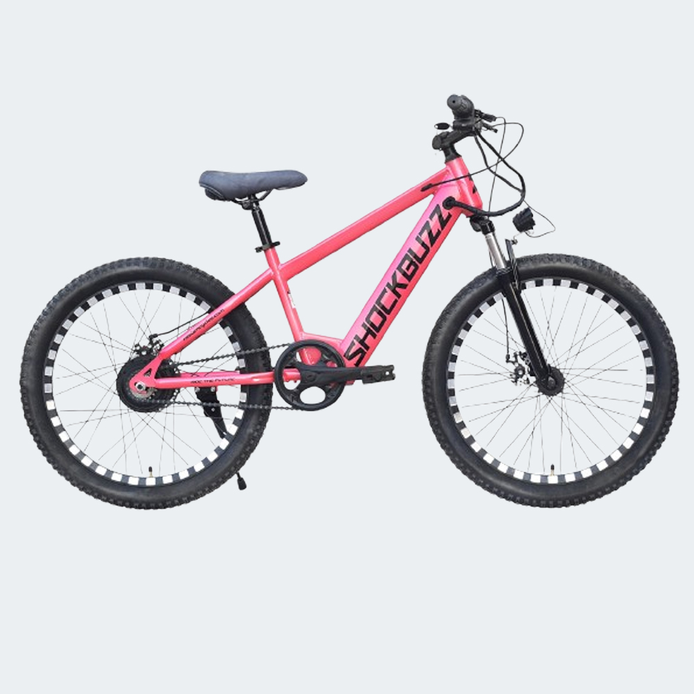 Neelam Shockbuzz NS 1.0 Electric Cycle 22