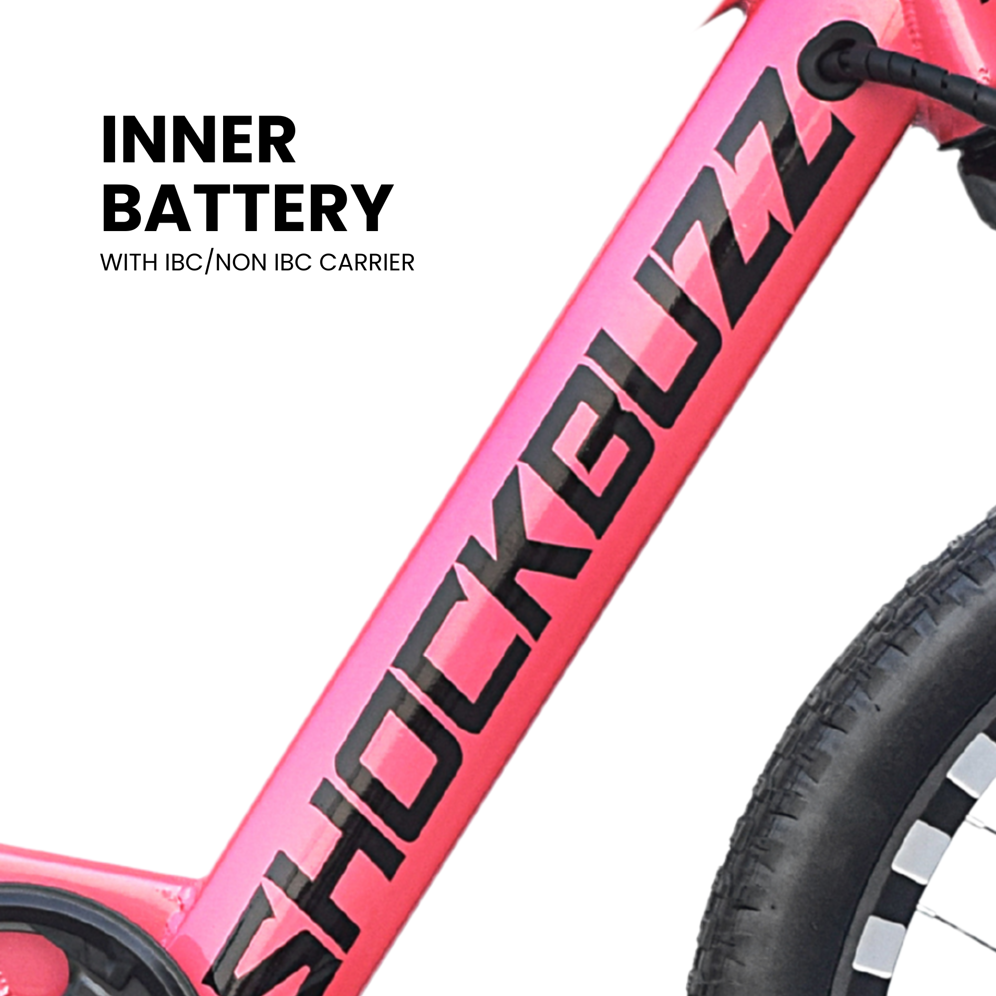 Neelam Shockbuzz NS 1.0 Electric Cycle 22 - Image 4